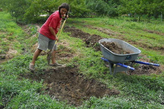 Anna digging new pond with shovel and wheel barrow