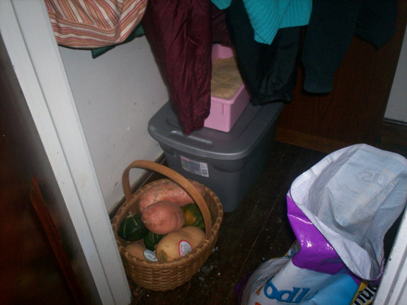 Storing food in a closet