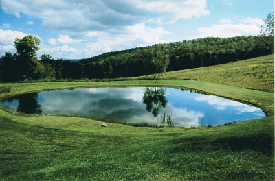 Tim Matson's pond