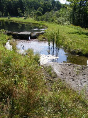 Pond spillway