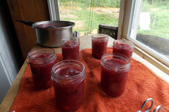 Canning with Huckleberry