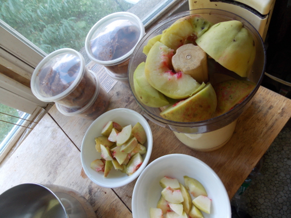 Processing peaches