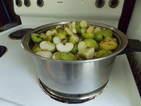 Cooking apples for
pectin