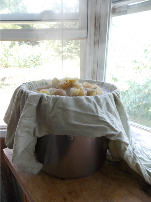 Straining apple
pectin