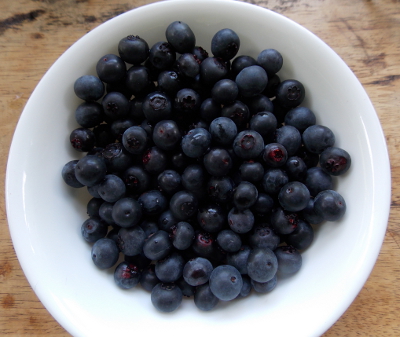 Bowl of blueberries