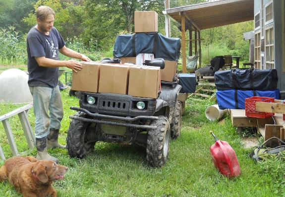 Polaris ATV hauling boxes with Lucy looking onward