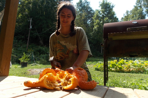 Saving seeds from summer squash