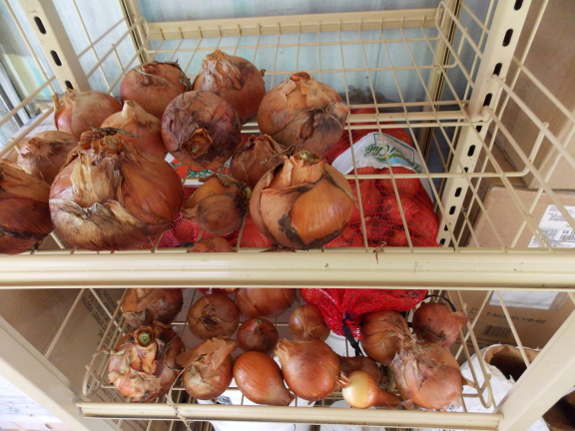 Onion drying rack