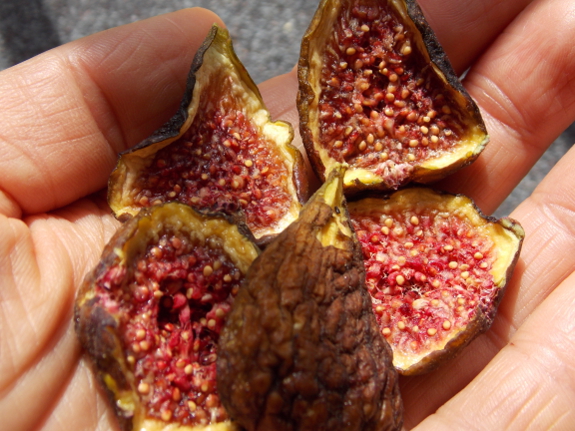 Dried figs