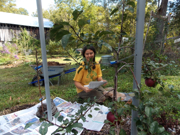 Reading the
newspaper