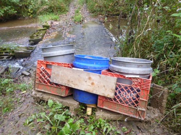 using milk crates to haul heavy gravel across creek