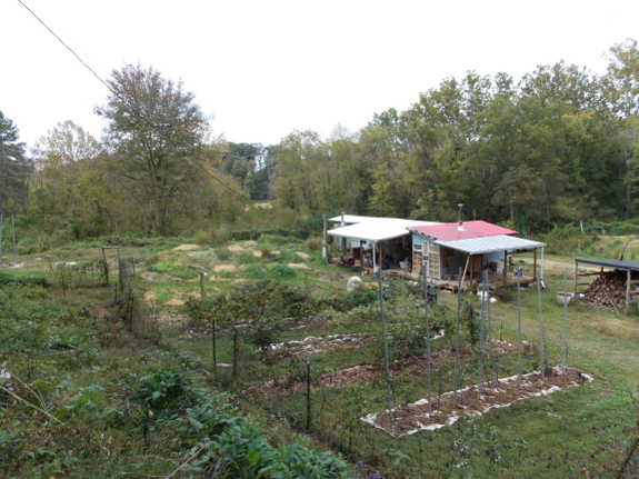 Farm from above