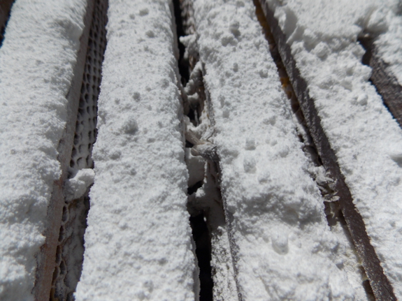 Sugar on bee box