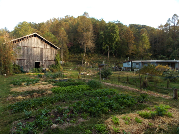 Evening garden