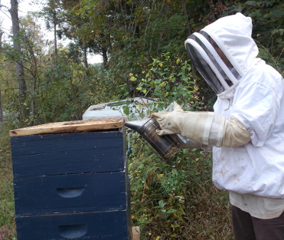 Smoking a hive