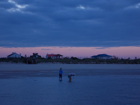 Beach combing