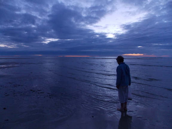 Collecting shells