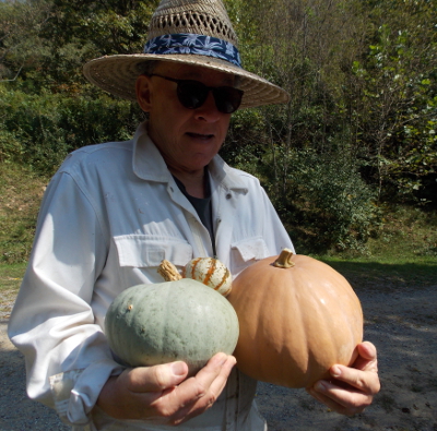 Movie-star pumpkins