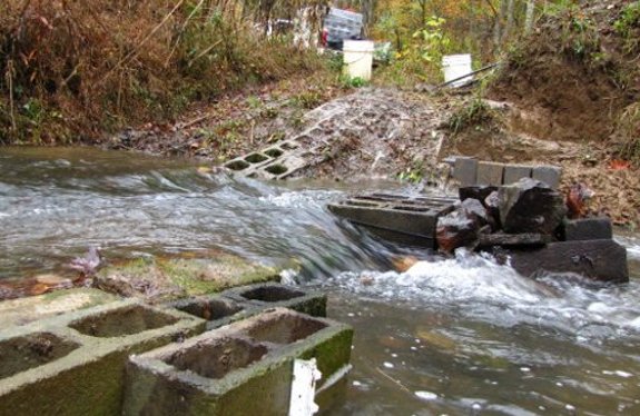 how the cinder block stepping stones are holding up after 2 years