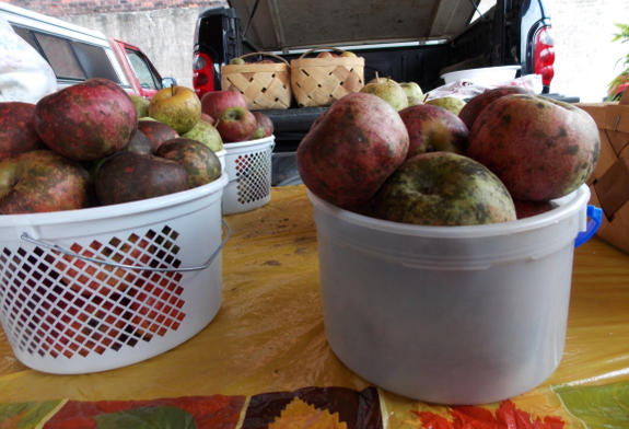 Winesap apples