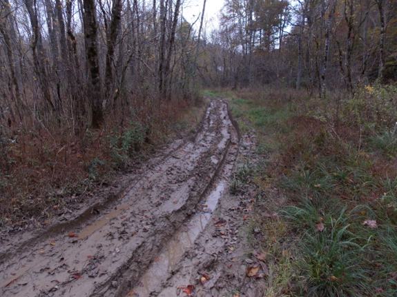 Rutted driveway