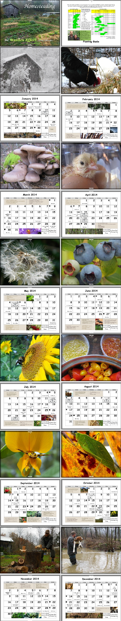 Homesteading
Calendar