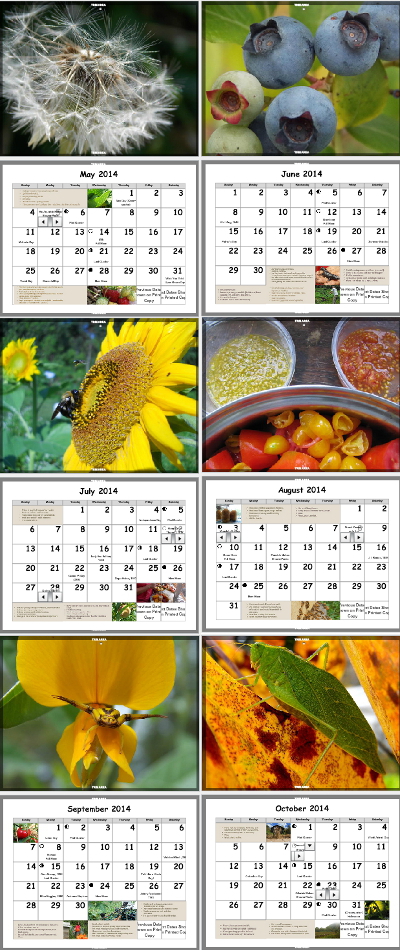 Homesteading calendar