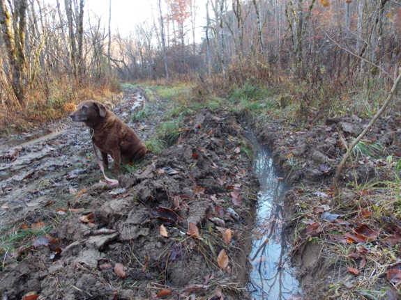 Ditch full of water