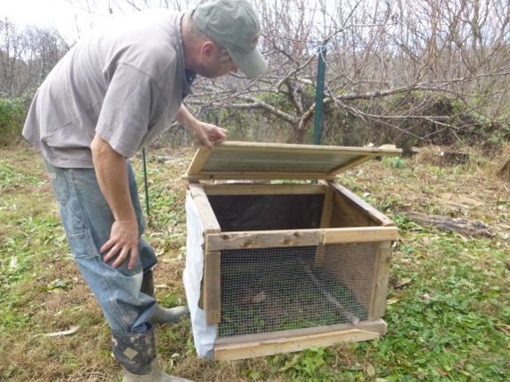 building a holding coop for chickens