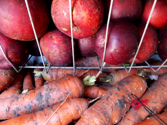 Apples and carrots