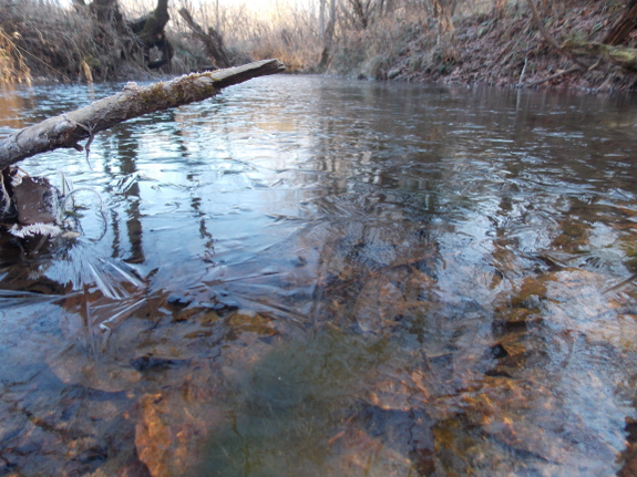 Frozen creek