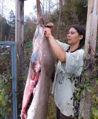 Butchering a deer