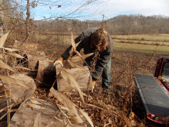 Loading big logs