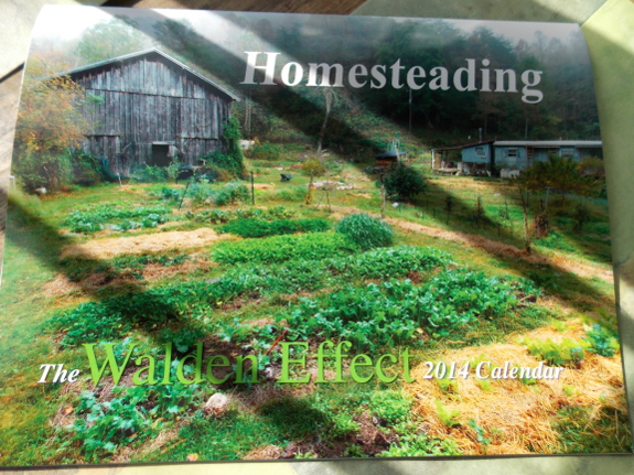 Homesteading calendar