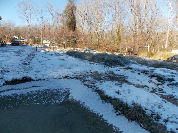 Snow on the back garden