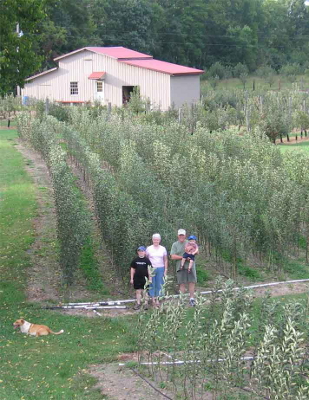 Apple nursery