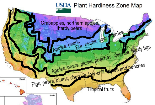 Fruit hardiness map