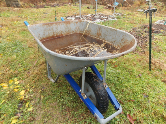 Homestead rain gauge