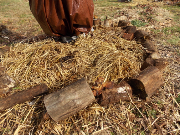 Log garden edging