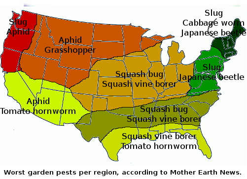 Worst pests per region