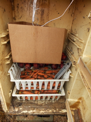 Fridge root cellar