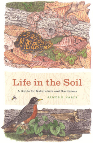 Life in the Soil