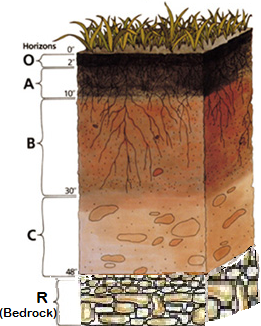 Soil horizons