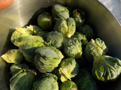 Frozen sprouts