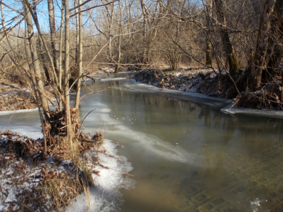 Upstream ice