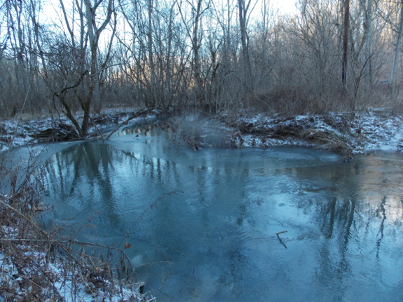 Winter scene