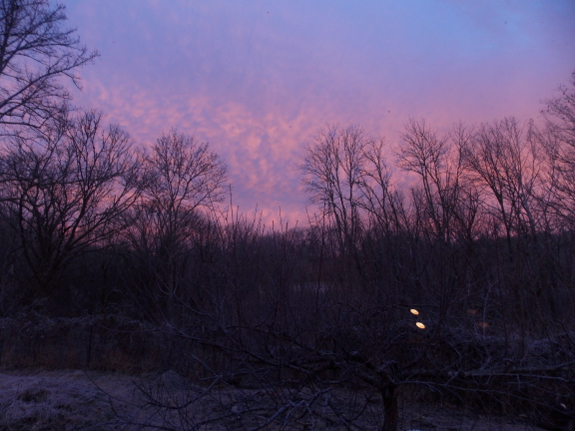 Reflected sunrise