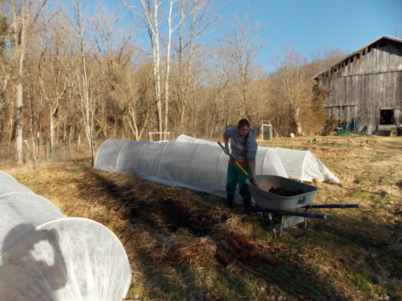 Preheating the garden