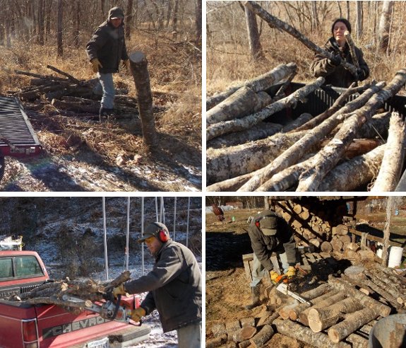 day 2 of our 2014 firewood harvest