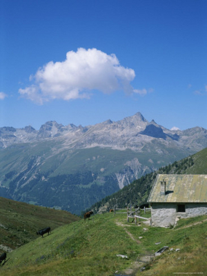 Cow herders in the Alps